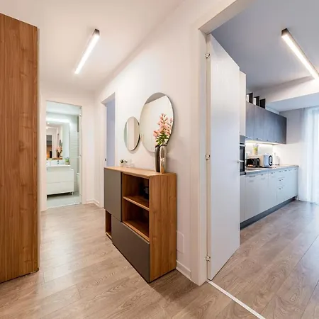 North Twin2 - Aviatiei Appartement *