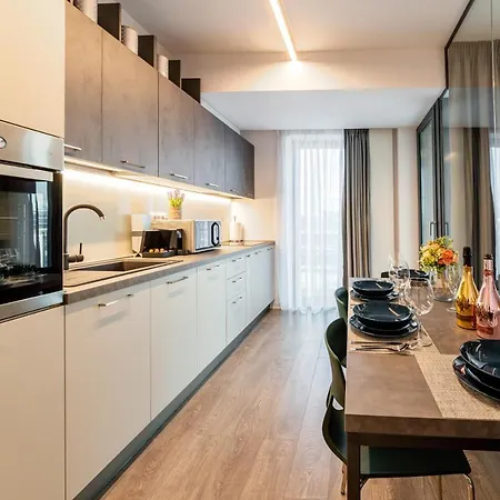 North Twin2 - Aviatiei Apartment *
